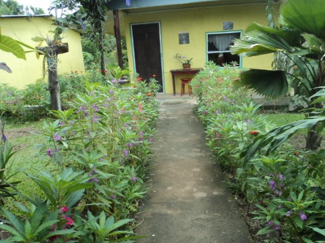 Posada Rural Oasis Caño Negro Kültér fotó